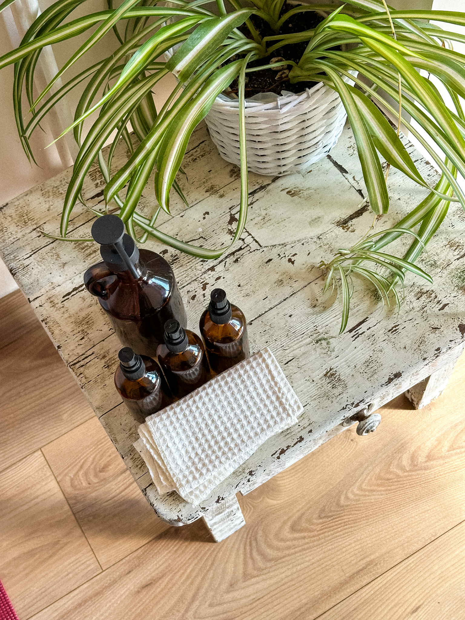 Wild Soul Studio - Image 1