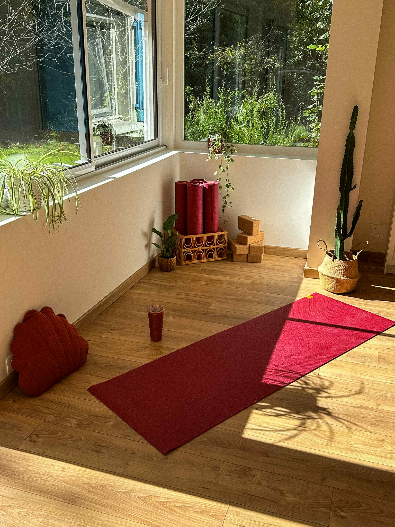 Wild Soul Studio - Image 10