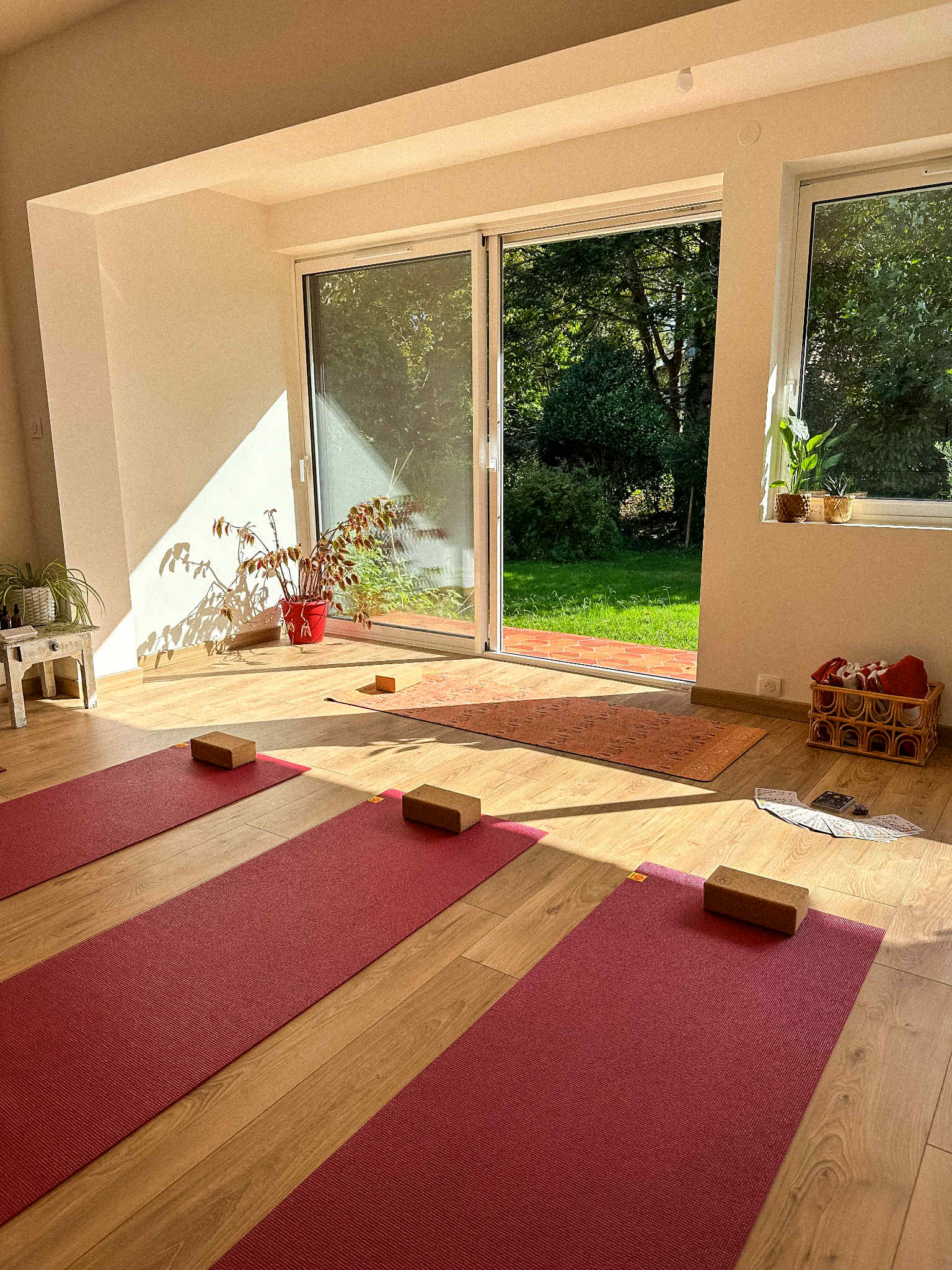 Wild Soul Studio - Image 8